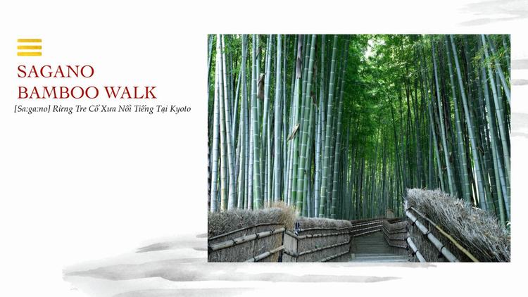Sagano Bamboo Walk - Takara Residencen